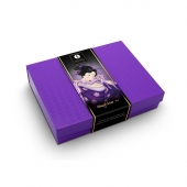 Подарочный набор Naughter Kit - Shunga - купить с доставкой в Иркутске