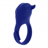 Синее эрекционное виброкольцо с клиторальной подушечкой и пультом ДУ Adjustable Fun Ring - Zero Tolerance - в Иркутске купить с доставкой