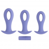 Набор из 3 анальных пробок с вибропулей Hole Punch Plug Set - Evolved