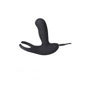 Стимулятор простаты Levett Earl с 2 моторами и пультом ДУ - Levett - в Иркутске купить с доставкой