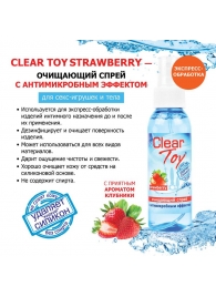 Очищающий спрей для игрушек CLEAR TOY Strawberry - 100 мл. - Биоритм - купить с доставкой в Иркутске