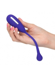 Фиолетовый шарик с электростимуляцией и вибрацией Intimate E-Stimulator Remote Kegel Exerciser - California Exotic Novelties - купить с доставкой в Иркутске