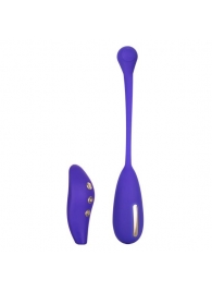 Фиолетовый шарик с электростимуляцией и вибрацией Intimate E-Stimulator Remote Kegel Exerciser - California Exotic Novelties - купить с доставкой в Иркутске