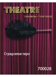 Чёрное страусовое пёрышко - ToyFa - купить с доставкой в Иркутске