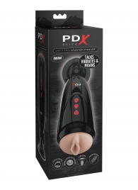 Мастурбатор-вагина с вибрацией Dirty Talk Starter Stroker - Pipedream - в Иркутске купить с доставкой