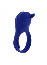 Синее эрекционное виброкольцо с клиторальной подушечкой и пультом ДУ Adjustable Fun Ring - Zero Tolerance - в Иркутске купить с доставкой