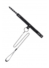 Черный узкий однослойный ошейник с серебристым поводком-цепочкой - Pecado - купить с доставкой в Иркутске