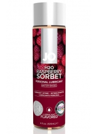 Лубрикант на водной основе с ароматом малины JO Flavored Raspberry Sorbet - 120 мл. - System JO - купить с доставкой в Иркутске