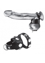 Утяжка для мошонки и пениса Cock Ring With 1  Ball Stretcher And Optional Weight Ring - BlueLine - купить с доставкой в Иркутске