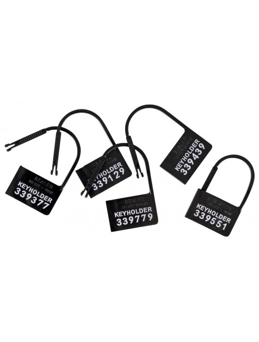 Набор для мужского пояса верности Cock Cage Set - Orion - купить с доставкой в Иркутске