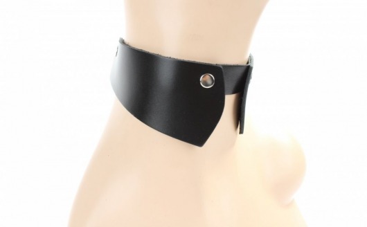 Оригинальный чокер воротничок-стойка - БДСМ Арсенал - купить с доставкой в Иркутске