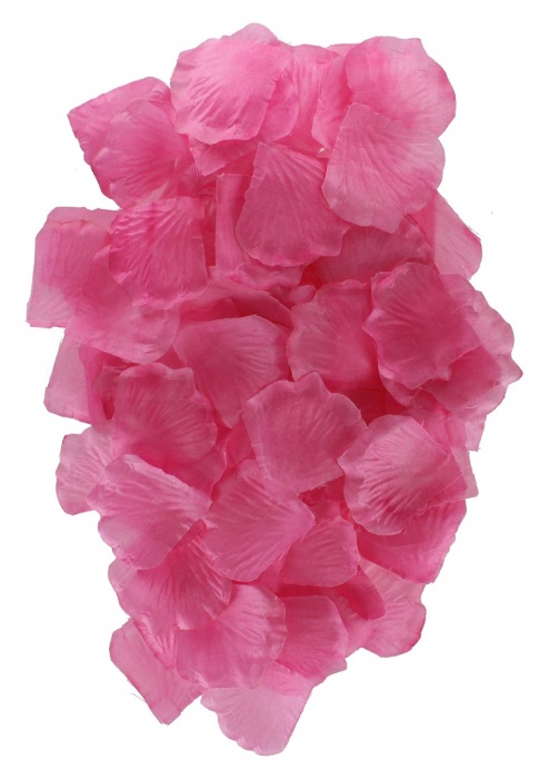 Эротический набор FANTASTIC PURPLE SEX TOY KIT - Toy Joy - купить с доставкой в Иркутске