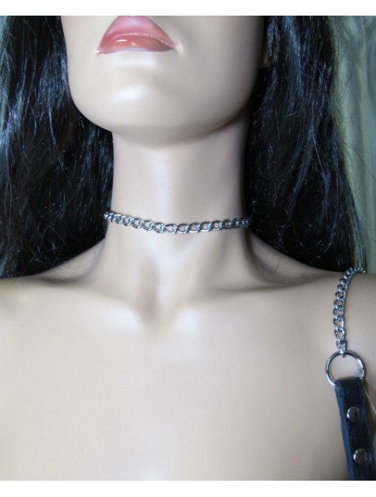 Металлический поводок с кожаной ручкой - БДСМ Арсенал - купить с доставкой в Иркутске