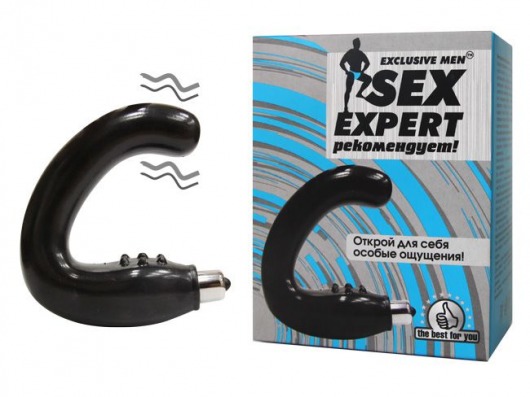 Чёрный массажёр простаты серии Sex Expert - Sex Expert - в Иркутске купить с доставкой