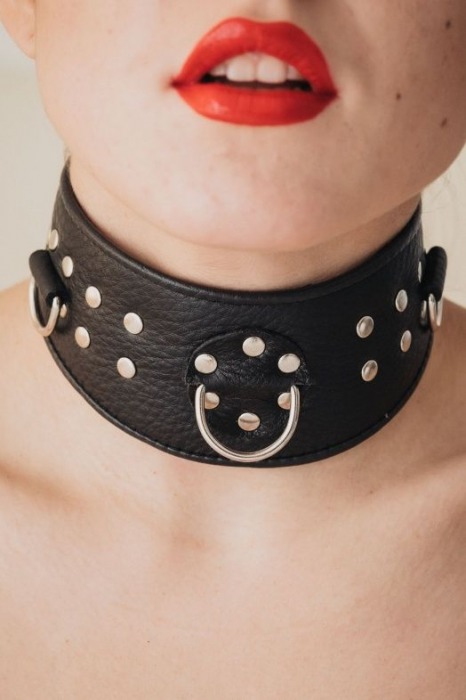 Кожаный ошейник для эротических игр - БДСМ Арсенал - купить с доставкой в Иркутске