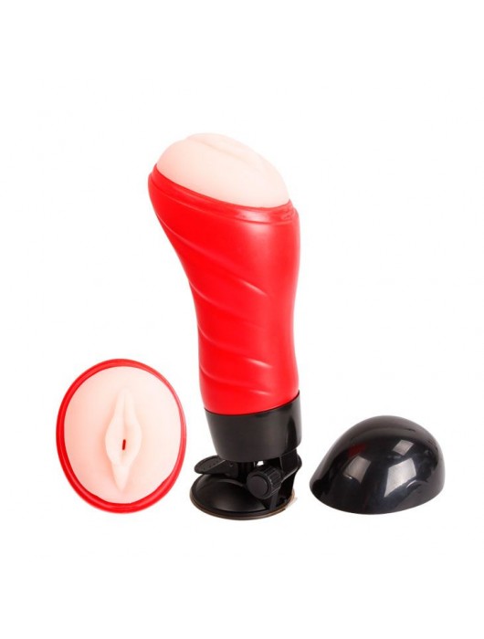 Мастурбатор-вагина Delia с вибрацией и голосом - Baile - в Иркутске купить с доставкой