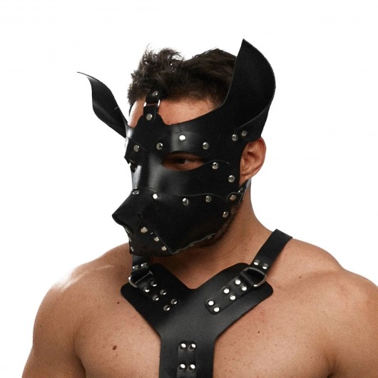 Черная кожаная маска «Собака» - Crazy Handmade - купить с доставкой в Иркутске Черная кожаная маска «Собака» - Crazy Handmade - купить с доставкой в Иркутске