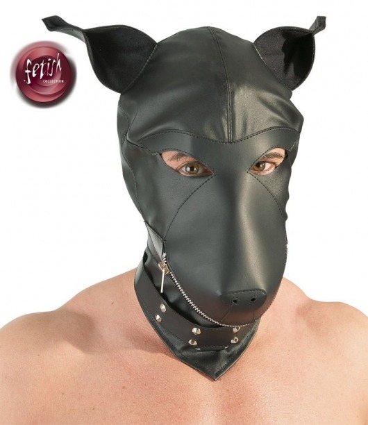 Шлем-маска Dog Mask в виде морды собаки - Orion - купить с доставкой в Иркутске