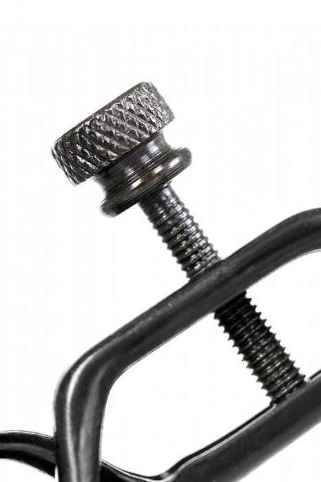 Черно-золотистые зажимы для сосков TOYFA Theatre - ToyFa - купить с доставкой в Иркутске