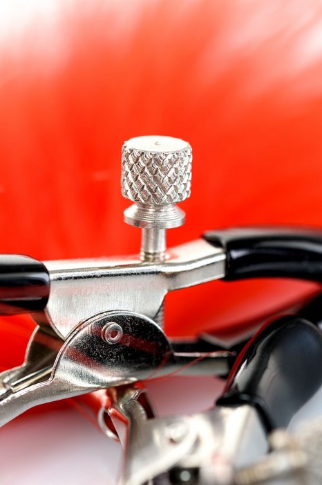 Зажимы для сосков с красным пухом Theatre - ToyFa - купить с доставкой в Иркутске